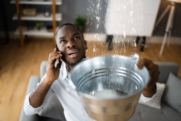 Best Water damage mitigation services  in Waterman, IL