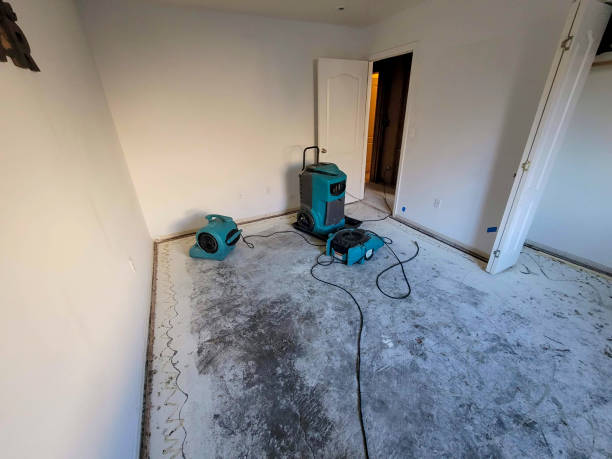 Best Water damage restoration near me  in Waterman, IL