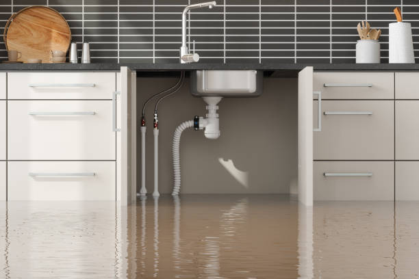 Best Water damage restoration services  in Waterman, IL