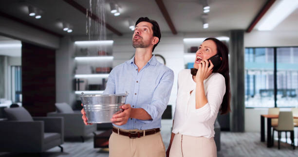 Best Water damage restoration company  in Waterman, IL