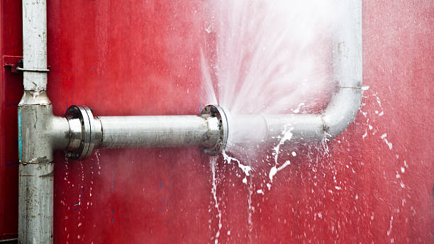 Best Local water damage restoration  in Waterman, IL